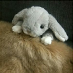 Closet Clear Out! Like items to receive offers